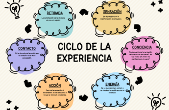 Ciclo_de_la_experiencia